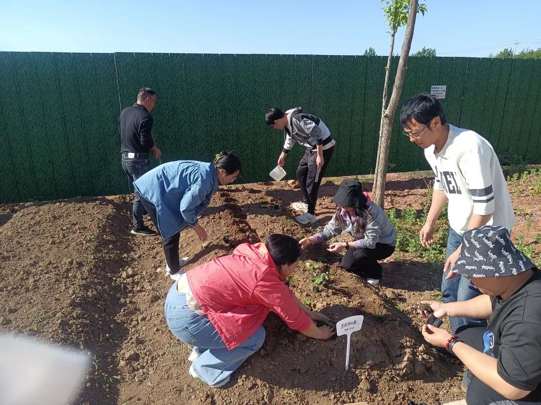 微信图片_20240627170031 微信图片_20240627170031.jpg