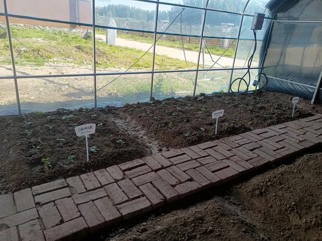 微信图片_20240627170041 微信图片_20240627170041.jpg