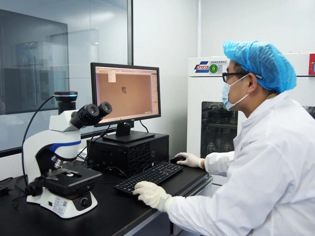 ΢ÐÅͼƬ_20240628162304 ΢ÐÅͼƬ_20240628162304.jpg