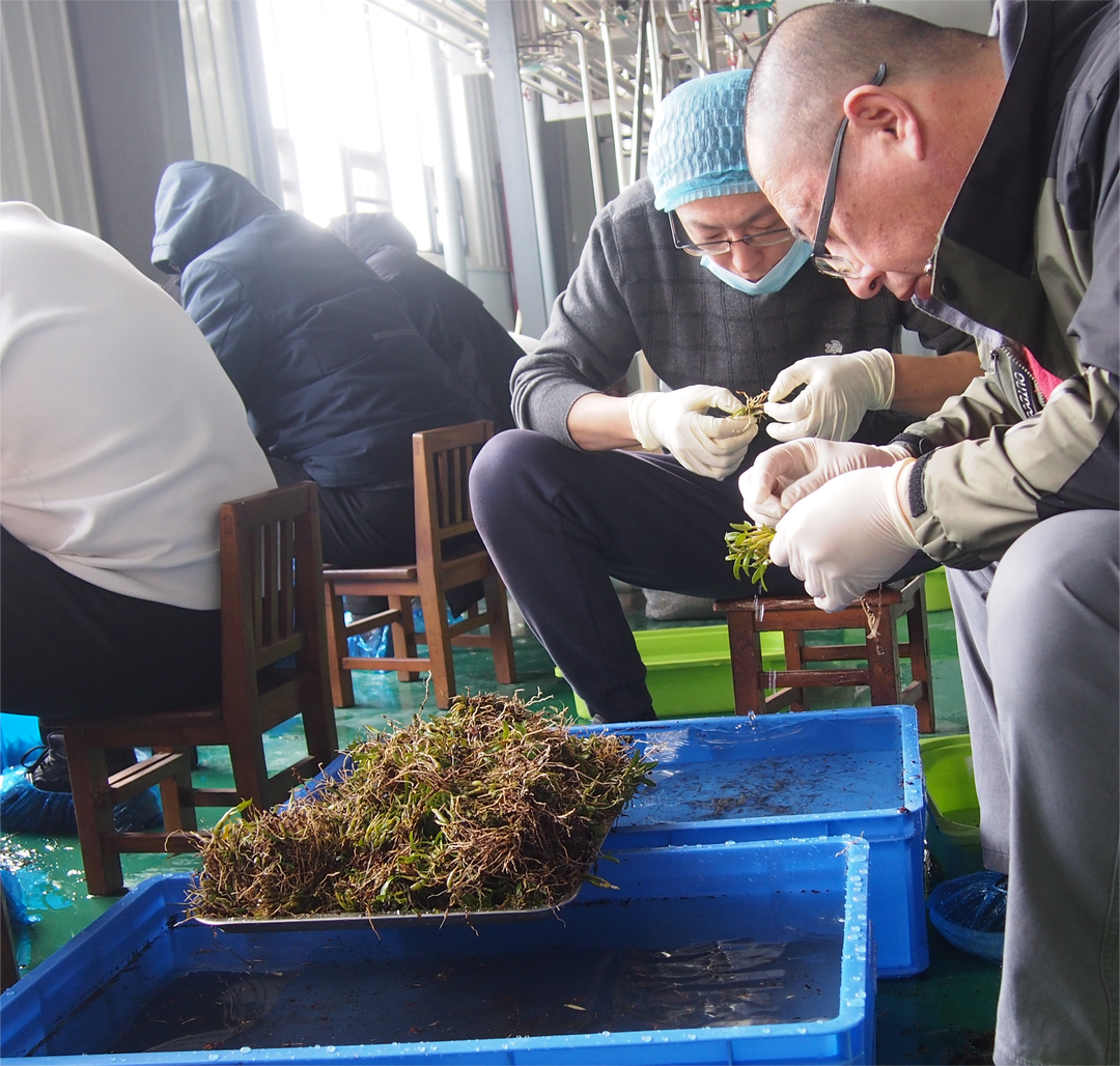 ΢ÐÅͼƬ_20240628163306 ΢ÐÅͼƬ_20240628163306.png