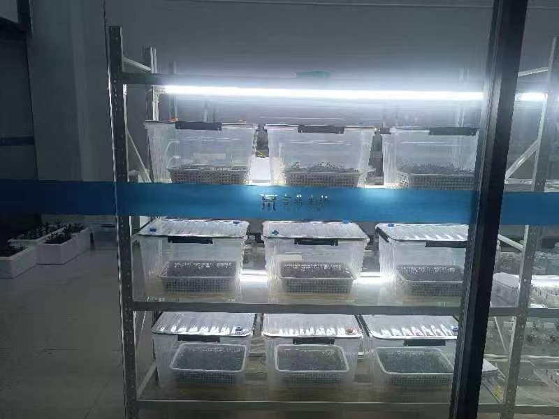 ΢ÐÅͼƬ_20240628163311 ΢ÐÅͼƬ_20240628163311.png