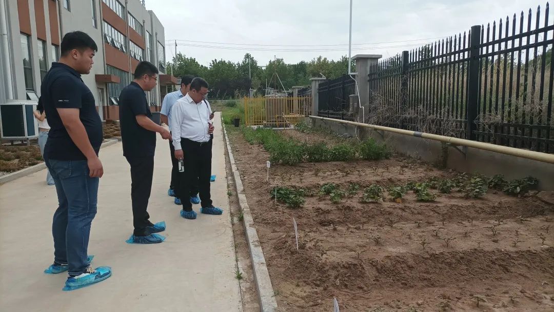 微信图片_20240630145342 微信图片_20240630145342.jpg