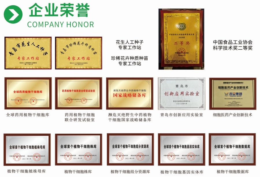 PESCÆóÒµÉùÓþ PESCÆóÒµÉùÓþ.jpg