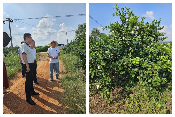 ΢ÐÅͼƬ_20240903091026_¸±±¾ ΢ÐÅͼƬ_20240903091026_¸±±¾.jpg