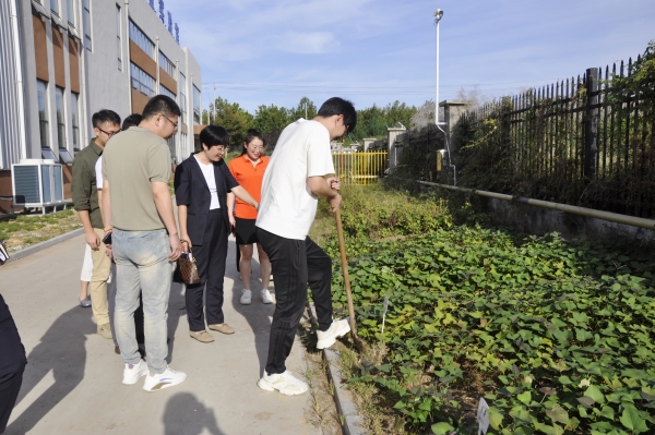 _DSC0016_副本 _DSC0016_副本.jpg