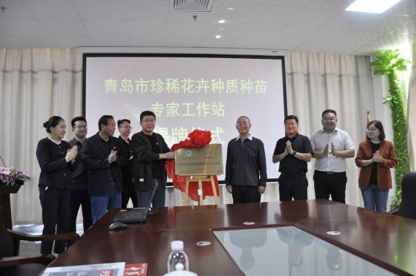 _DSC0063_¸±±¾ _DSC0063_¸±±¾.jpg