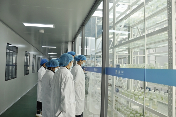 _DSC0096_¸±±¾ _DSC0096_¸±±¾.jpg