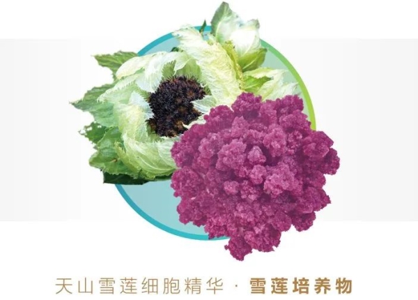 ΢ÐÅͼƬ_20241124090147 ΢ÐÅͼƬ_20241124090147.jpg