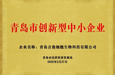 立异型(细胞生物) 立异型(细胞生物).jpg