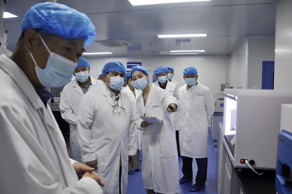 _DSC0138_副本 _DSC0138_副本.jpg