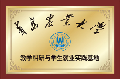 BETWAY(ķ)ٷվ-Official Platform