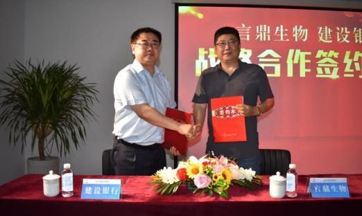 ͷ ɽʢǿǿŽ»