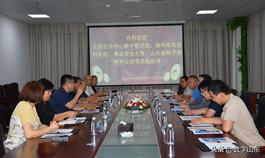 ͷ ɽũҵũ岿רݰɽٷҳп ٷҳֲϸջ߶Ͽ