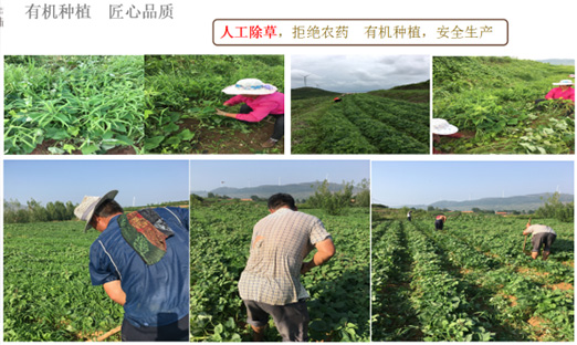 ɽٷҳȪũҵƼ޹˾ٻɽʡִũҵƼģ