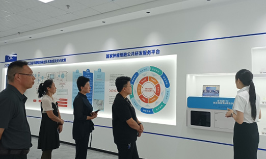 й걣Э볿ȻЯֱٷҳͬı꿵ƪ