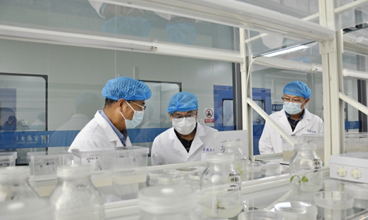 Ｏϯѧһеñٷҳ̺ʱ