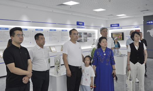 ൺﵽñٷҳ?򵼾ע